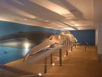 아이와 제주 여행 제주 민속 자연사박물관 예매 코스 가이드_9