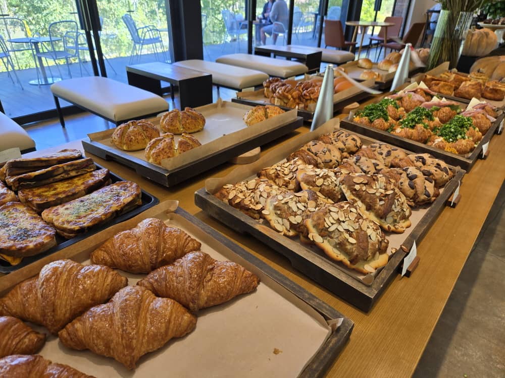 가평 나무아래오후