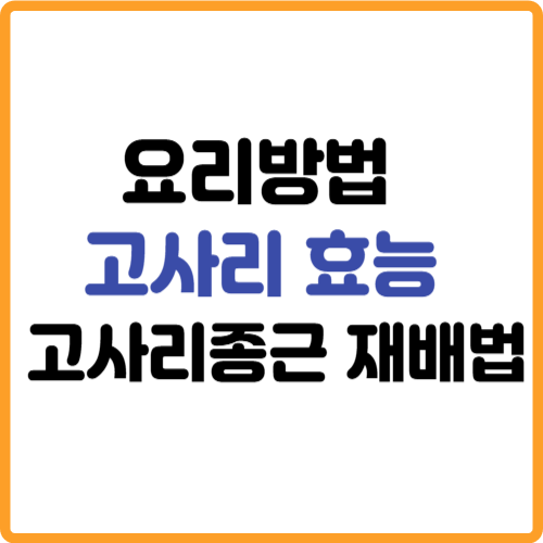 고사리 효능 요리방법 고사리종근 재배법 관련 사진