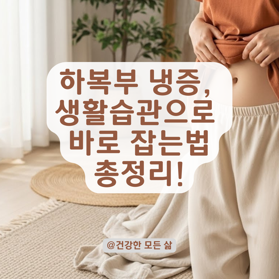 하복부 냉증이 계속된다면? 생활습관부터 병원 선택까지 실전 가이드.
