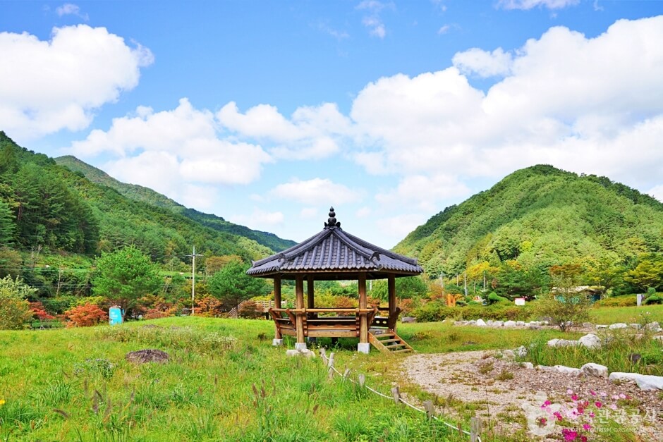 영양 가볼만한곳 베스트 10