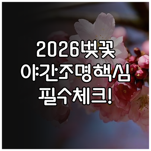 2026 서울 벚꽃 축제 일정 및 야..