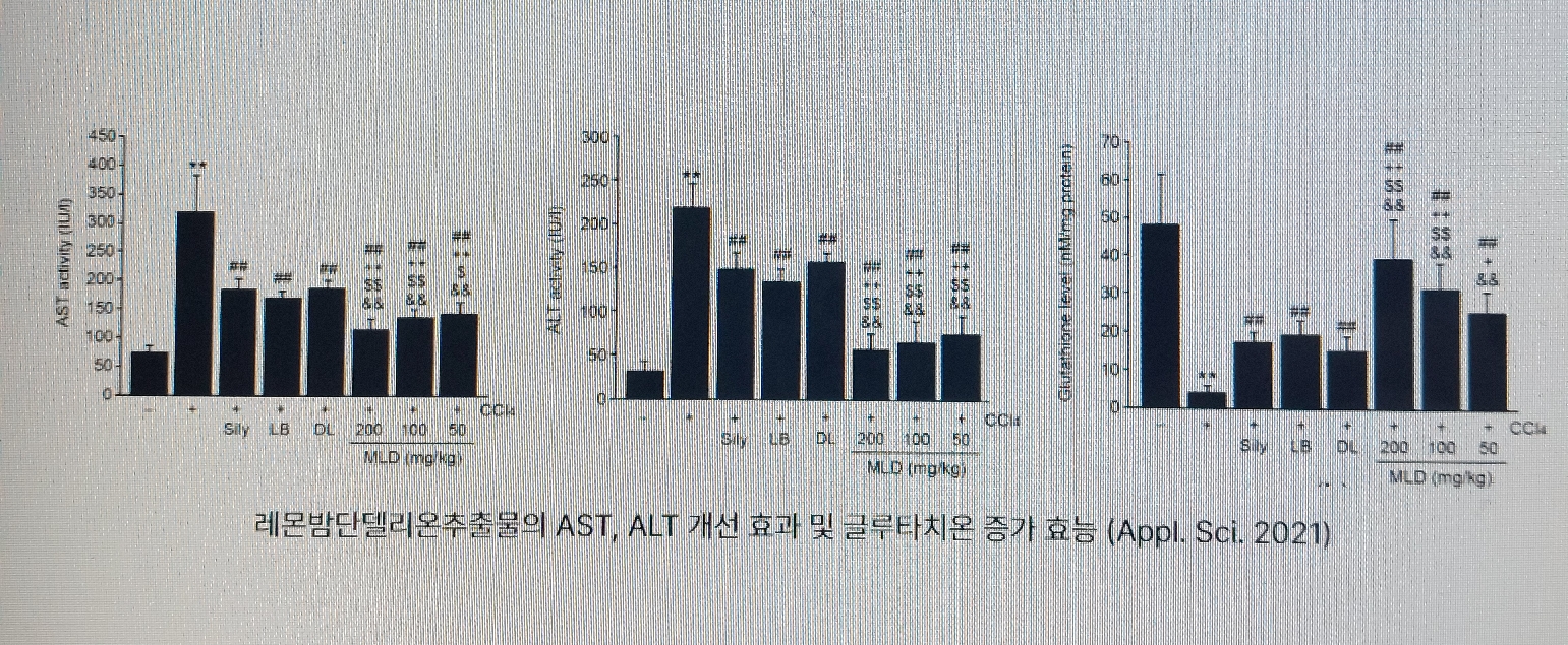 레몬밤 단델리온 효능