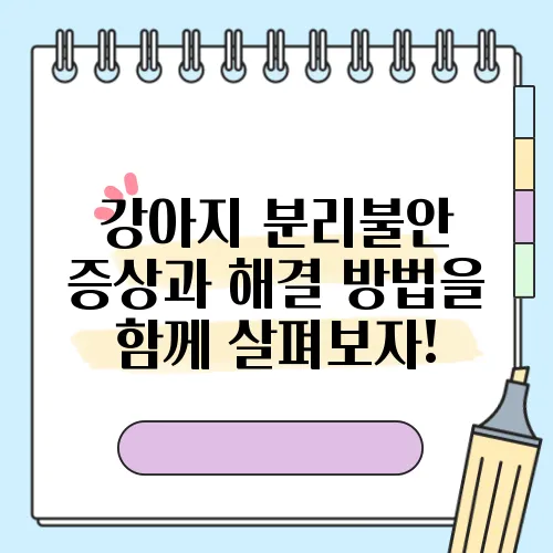 강아지 분리불안 증상과 해결 방법을 함께 살펴보자!