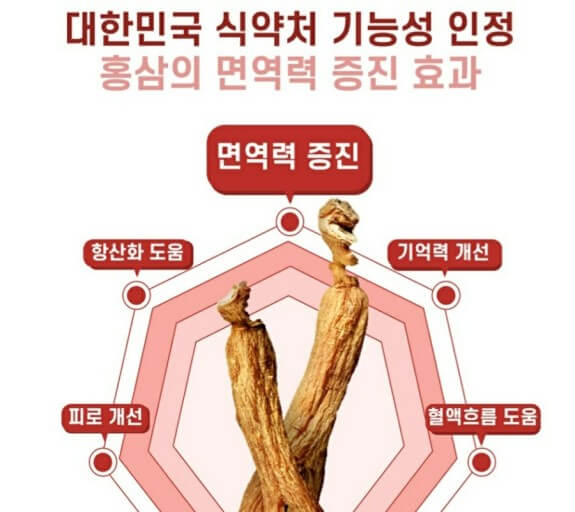홍삼의 안정성