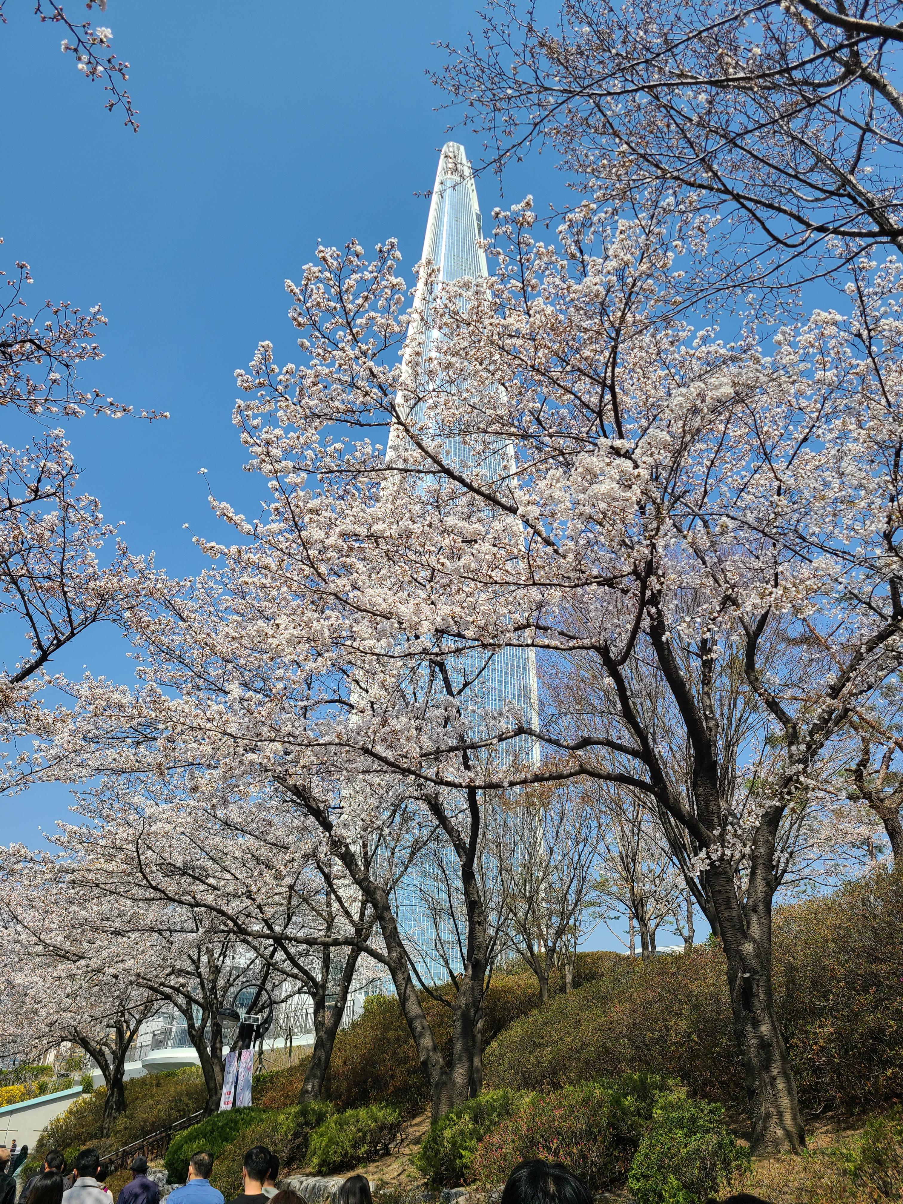 Lotte World Tower and Seokchon Lake