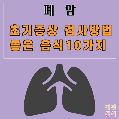 폐암 초기증상 검사방법 좋은 음식 10가지