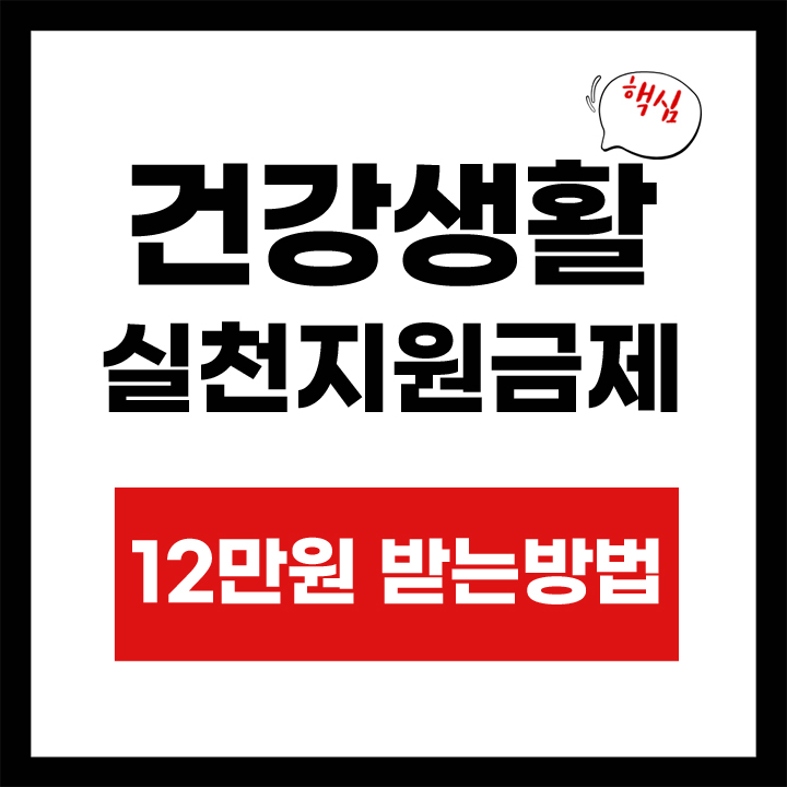 건강생활 실천지원금제