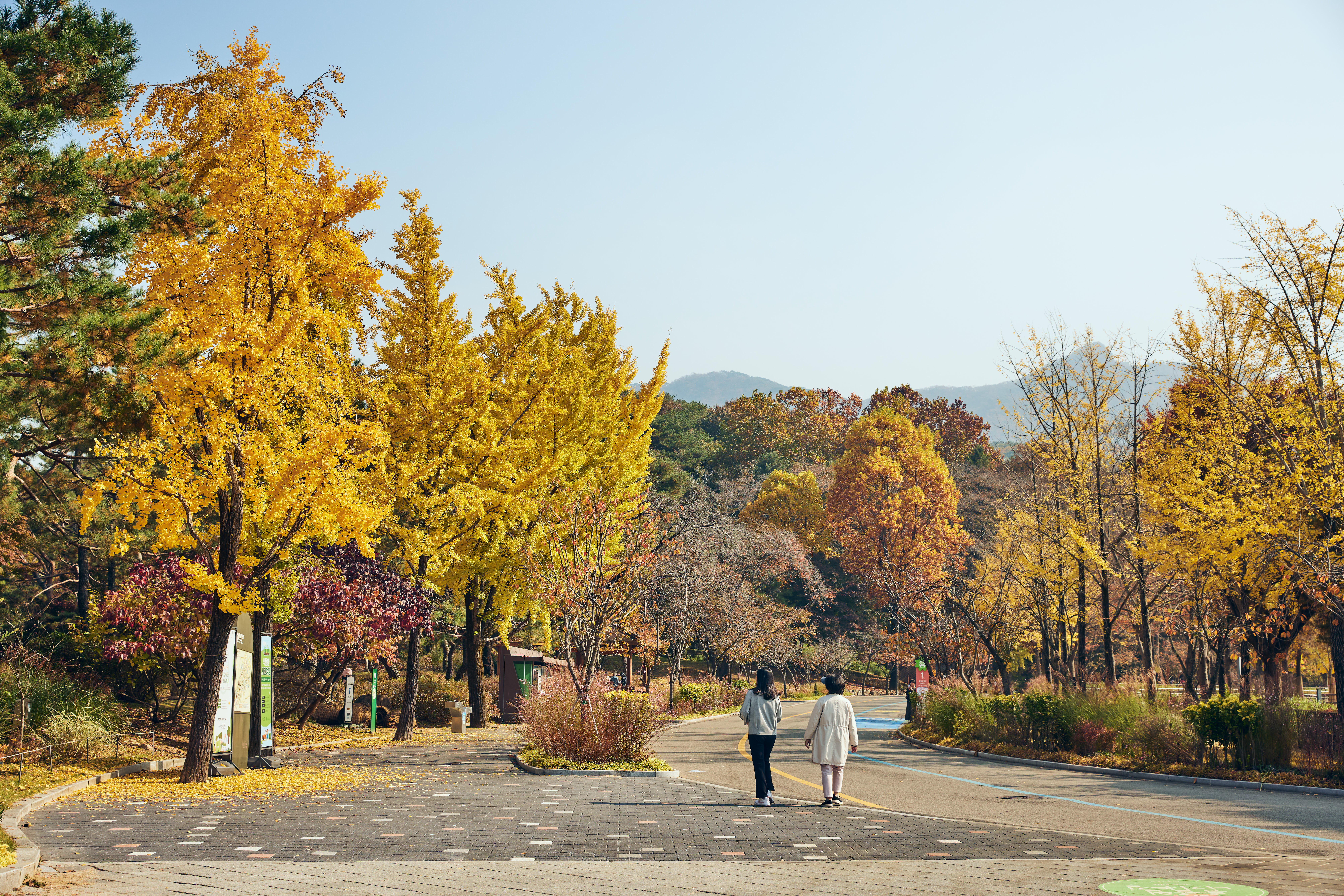 서울대공원 산림치유센터 인기 폭발(무료 숲해설&middot;산림체험 프로그램) 관련사진