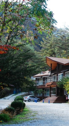 숲나들e 공립 자연휴양림 국내 여행지 추천 지역별 목록 관련사진