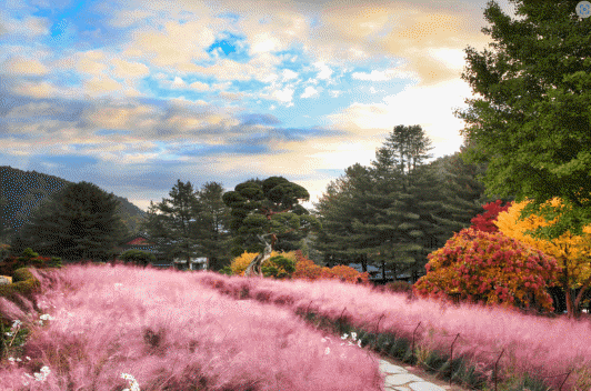 가평 아침고요 수목원