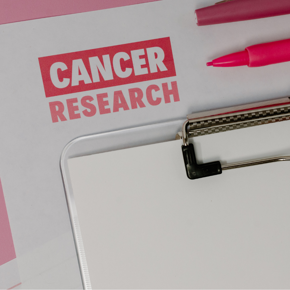 갱신보험비갱신보험2