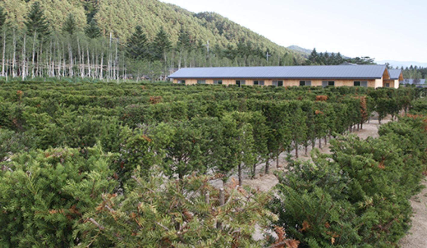 오대산자연명상마을 전경