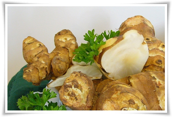 &quot;10월 하순, 생강 수확 하세요!&quot; 생강의 매력과 건강 효능, 최적의 수확시기! 생강의 효능과 활용!