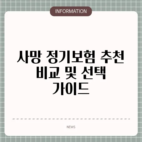 사망 정기보험 추천 비교 및 선택 가이드
