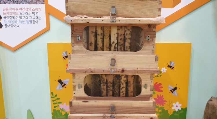 꿀벌나라 테마공원