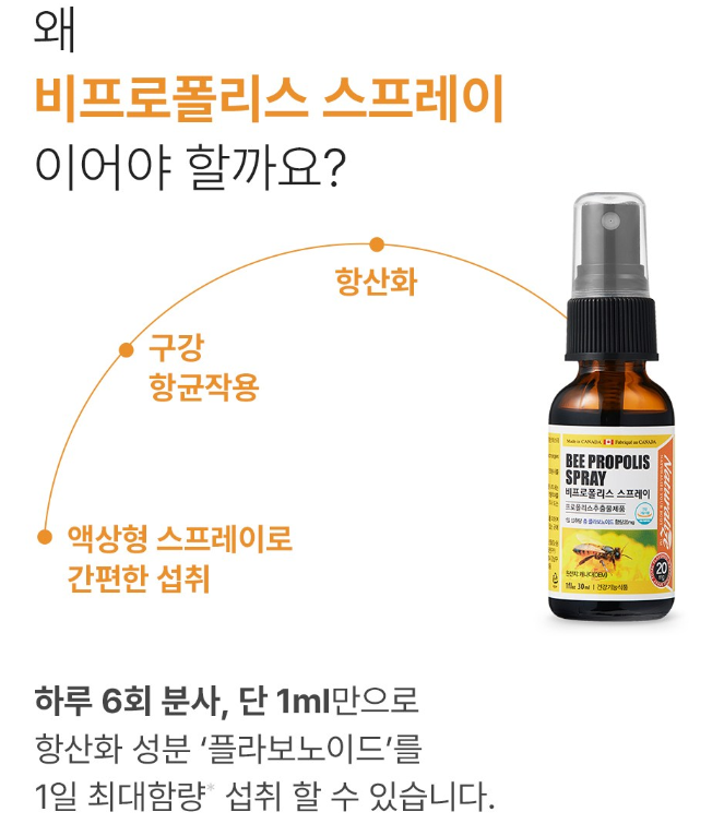 프로폴리스 제품추천 고르는법 부작용 효과