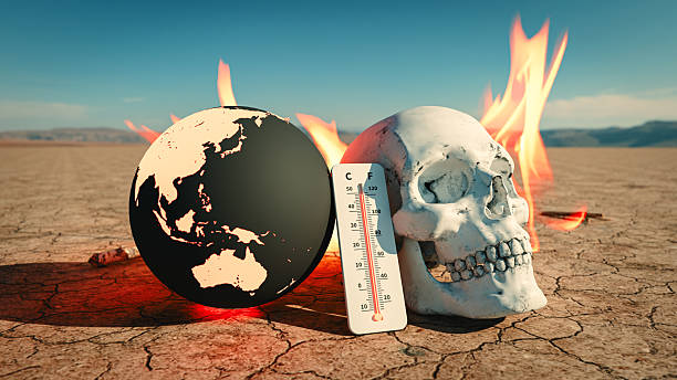 낮 시간대 야외활동 자제