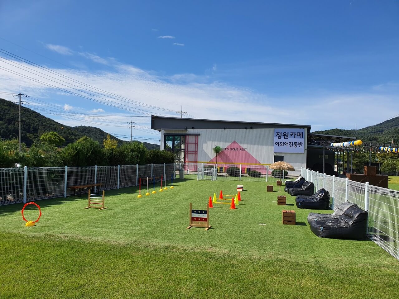 서울·근교 강아지와 함께 갈 수 있는 펫카페 추천 & 방문 꿀팁 총정리