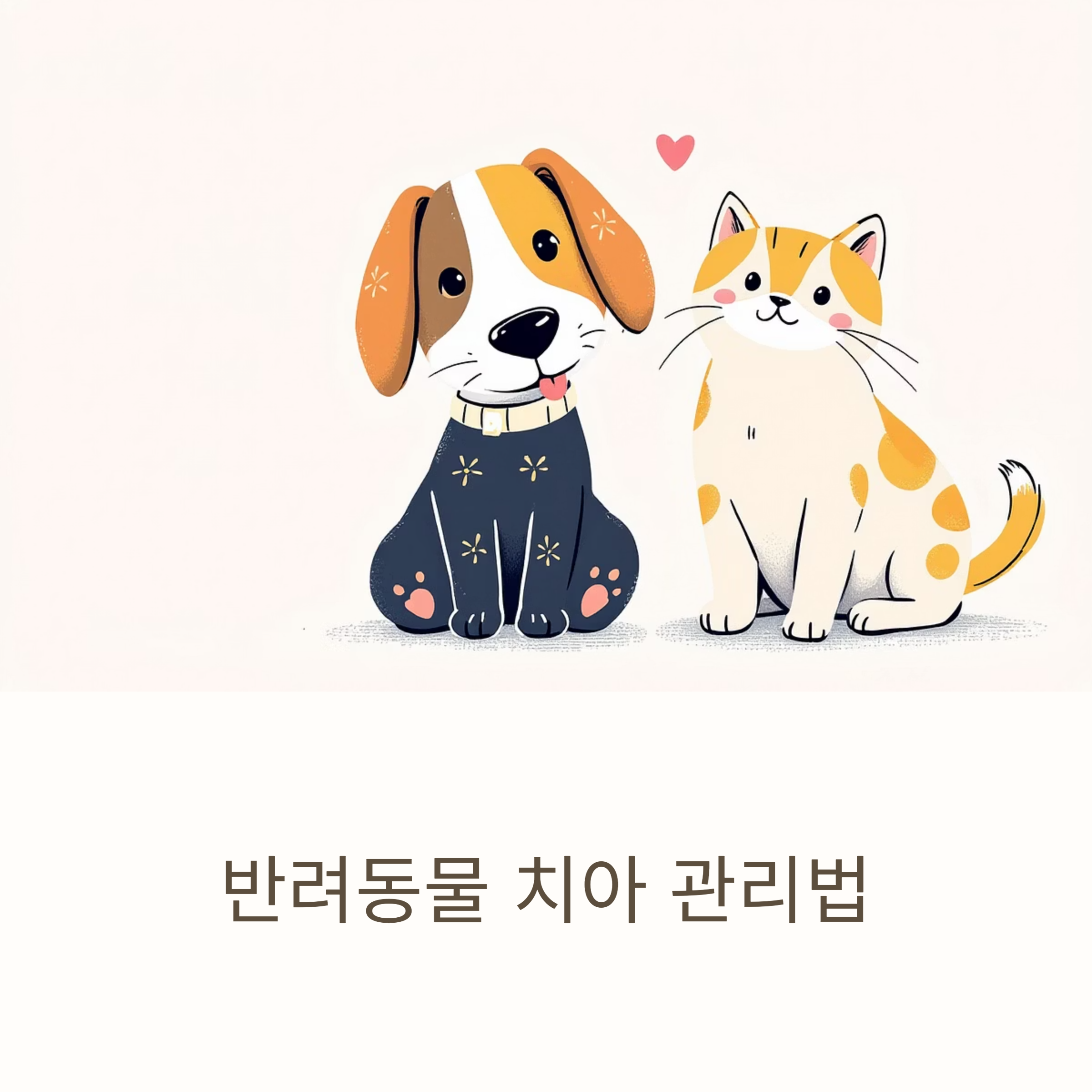 반려동물 치아 관리법