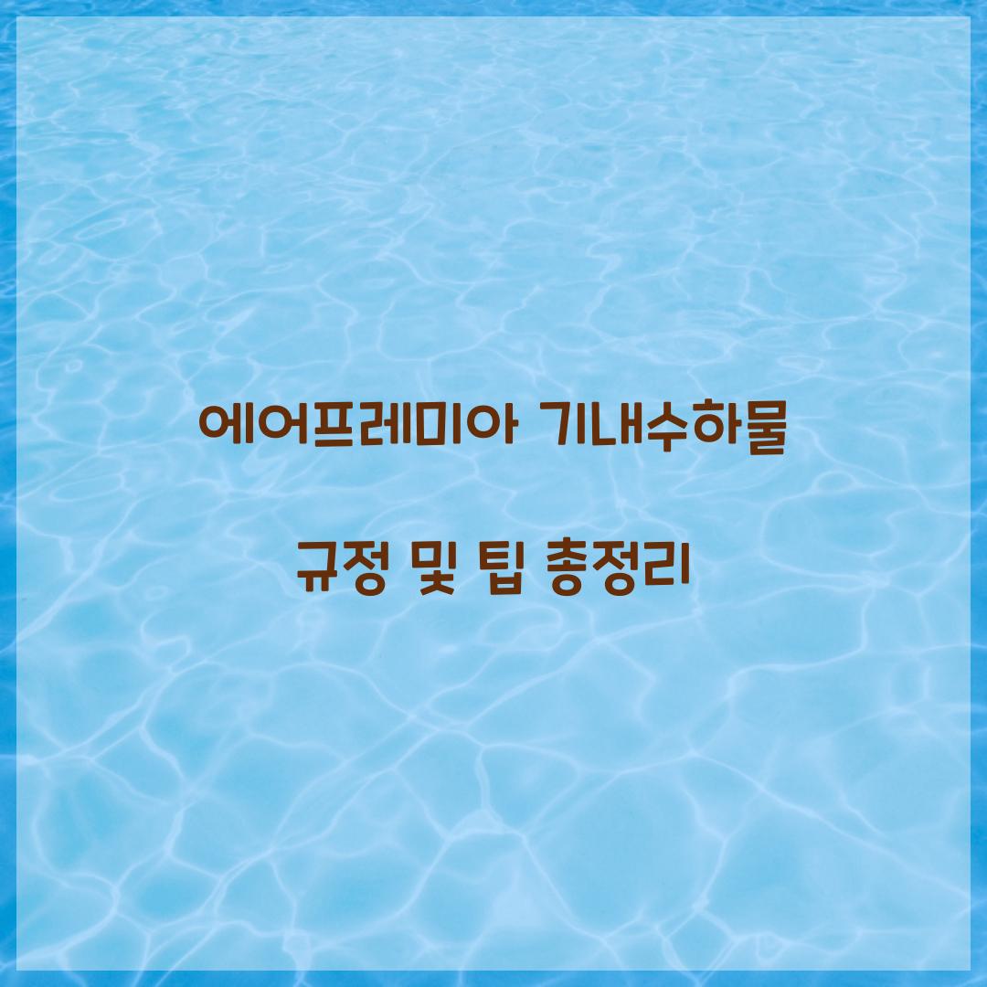 에어프레미아 기내수하물