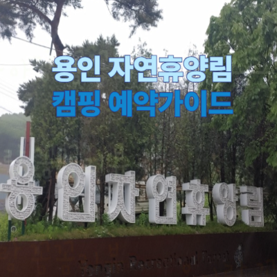 용인 자연휴양림 캠핑 예약 가이드