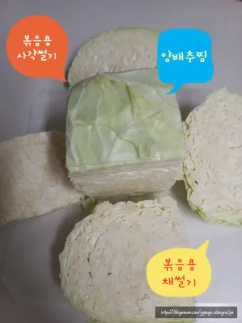 "양배추