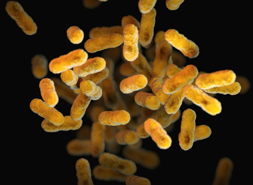 probiotics