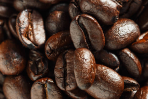 Understanding How to Assess the Quality of the Coffee Beans I Drink Daily.
