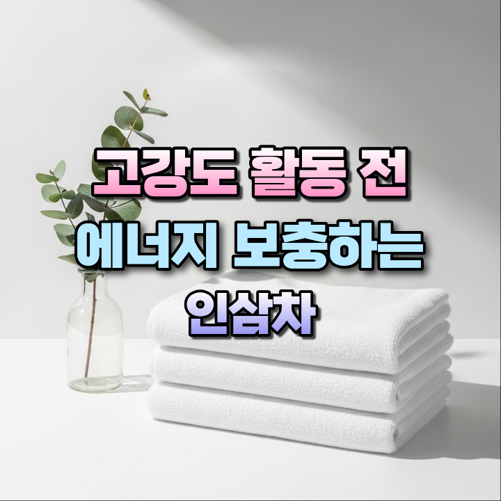고강도활동전에너지보충하는인삼차
