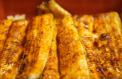 2025 초복 중복 말복 날짜와 음식 총정리&amp;#44; 장어구이3 