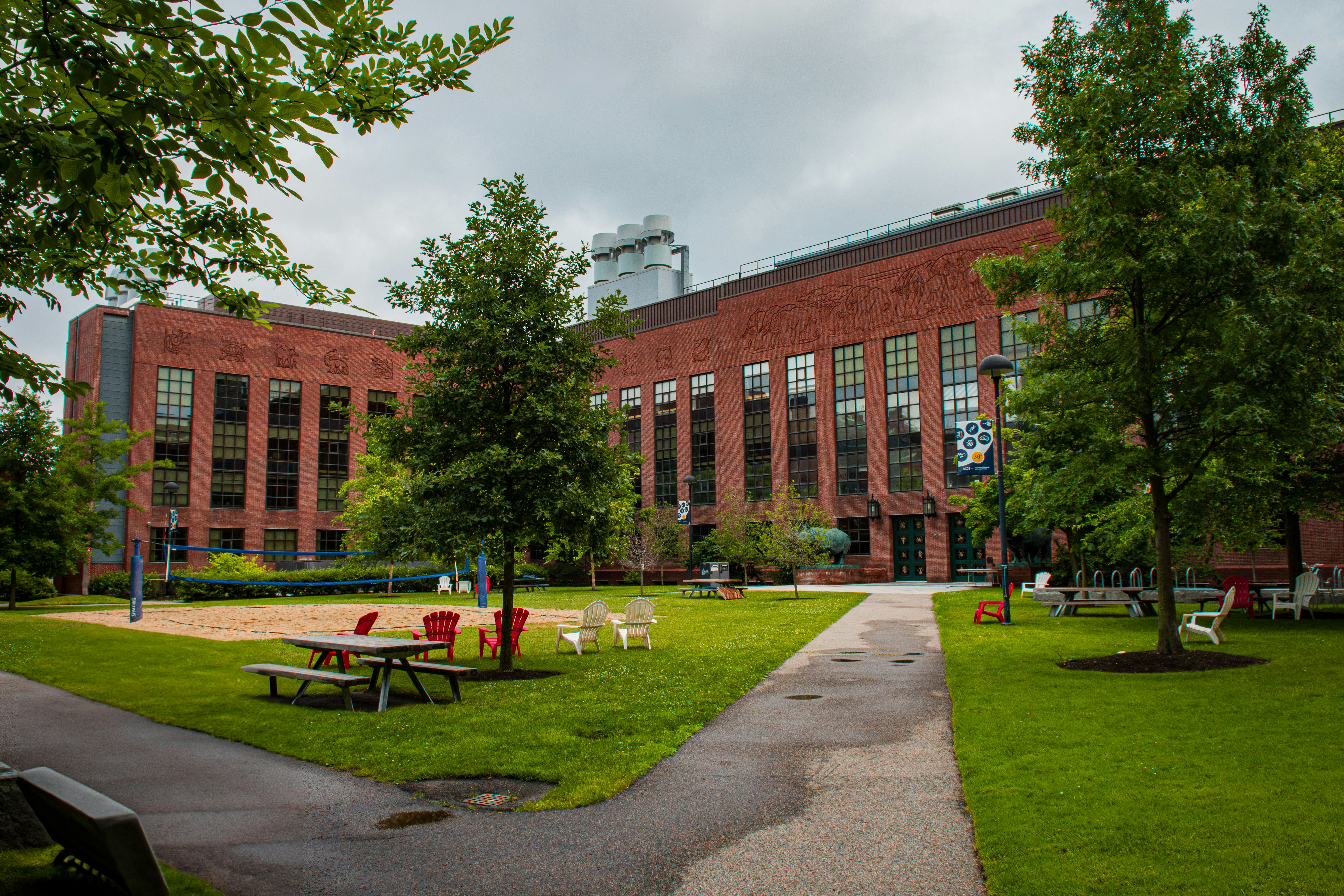 유학생 미국 대학 관련사진