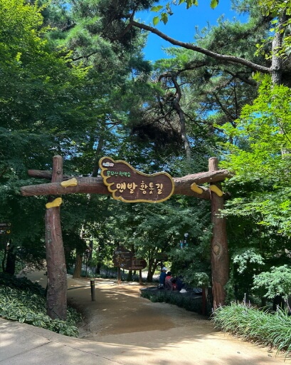 국민 건강 트렌드 ‘맨발걷기운동’ : 맨발걷기법·어싱길 효과·전망 분석