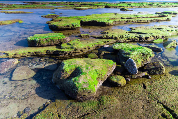 제주올레길 2코스 맛집과 숙소 가이드: 광치기해변에서 온평포구까지