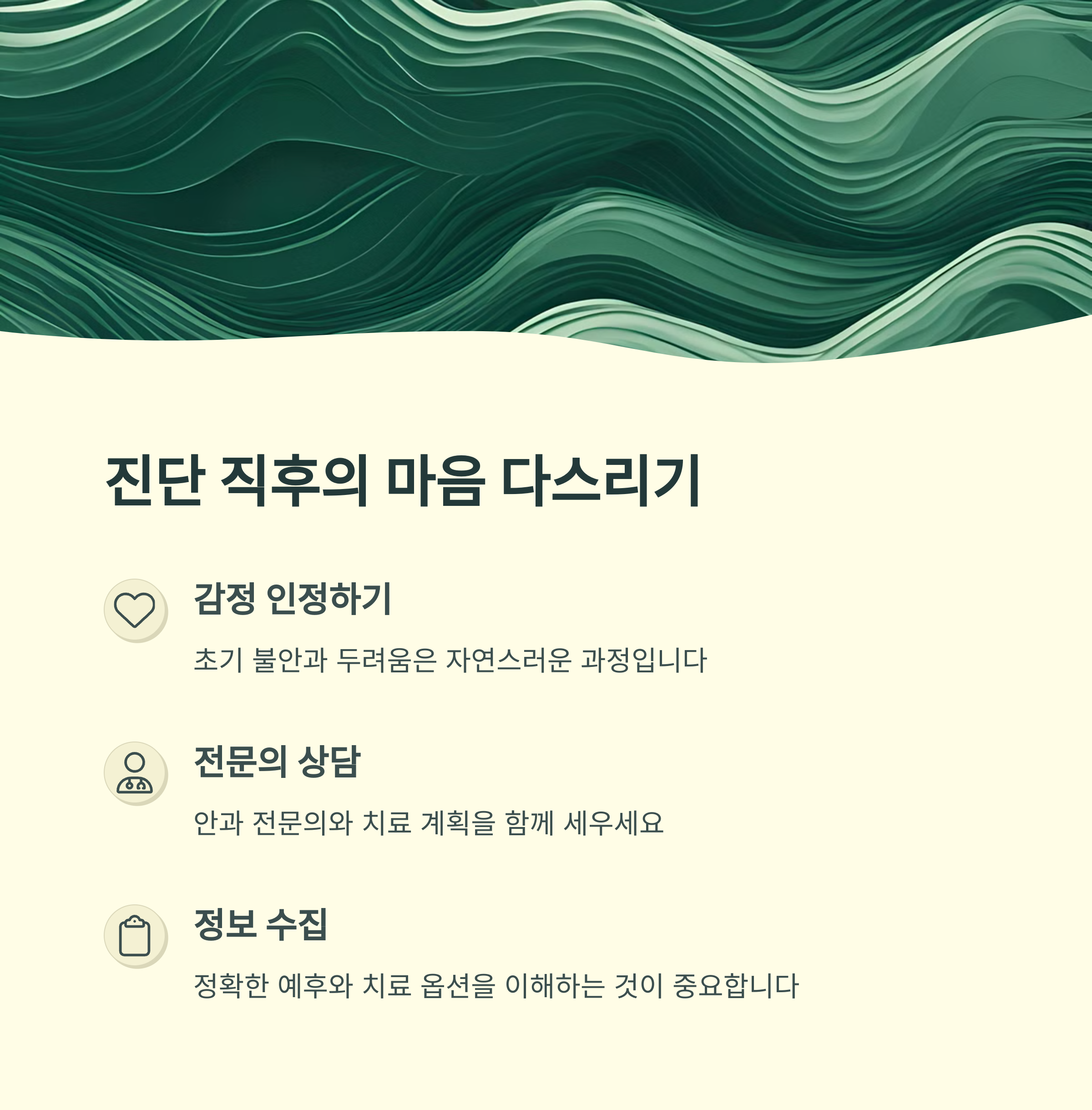 근시성 황반변성 관리법2