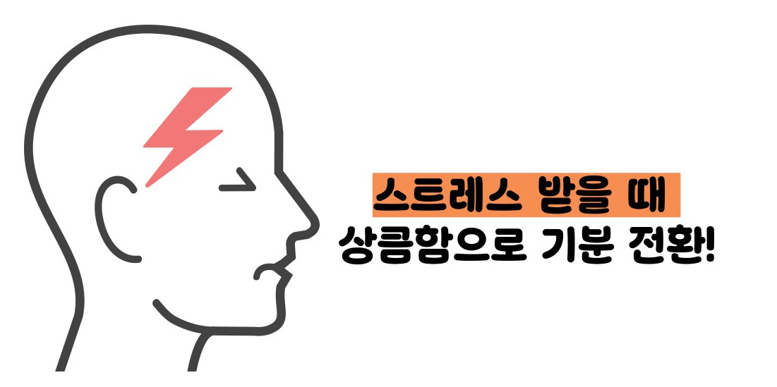 자몽 효능