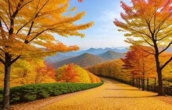 내장산 단풍 명소 단풍시기 산책로 사진스팟 한눈에_17