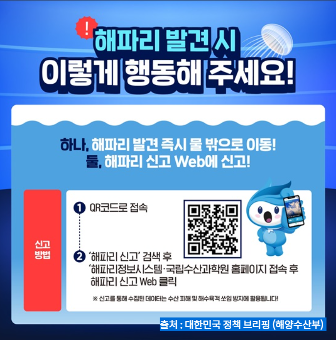 노무라입깃해파리 응급처치 방법 이미지