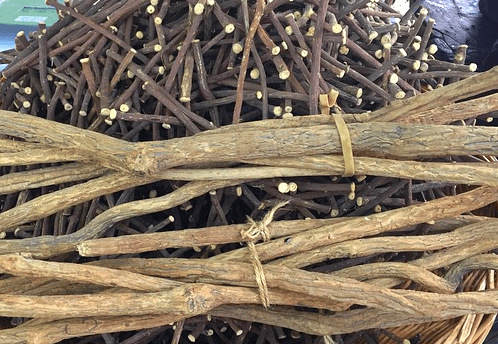 고동색의 감초나무들이 마당에 한가득 쌓여있다.