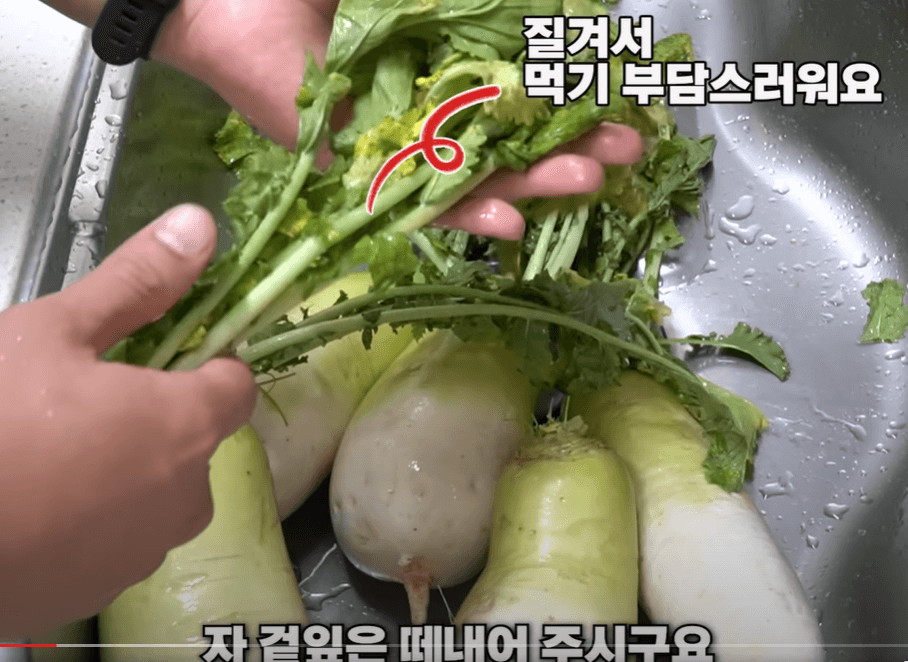 무 씩어주는 방법