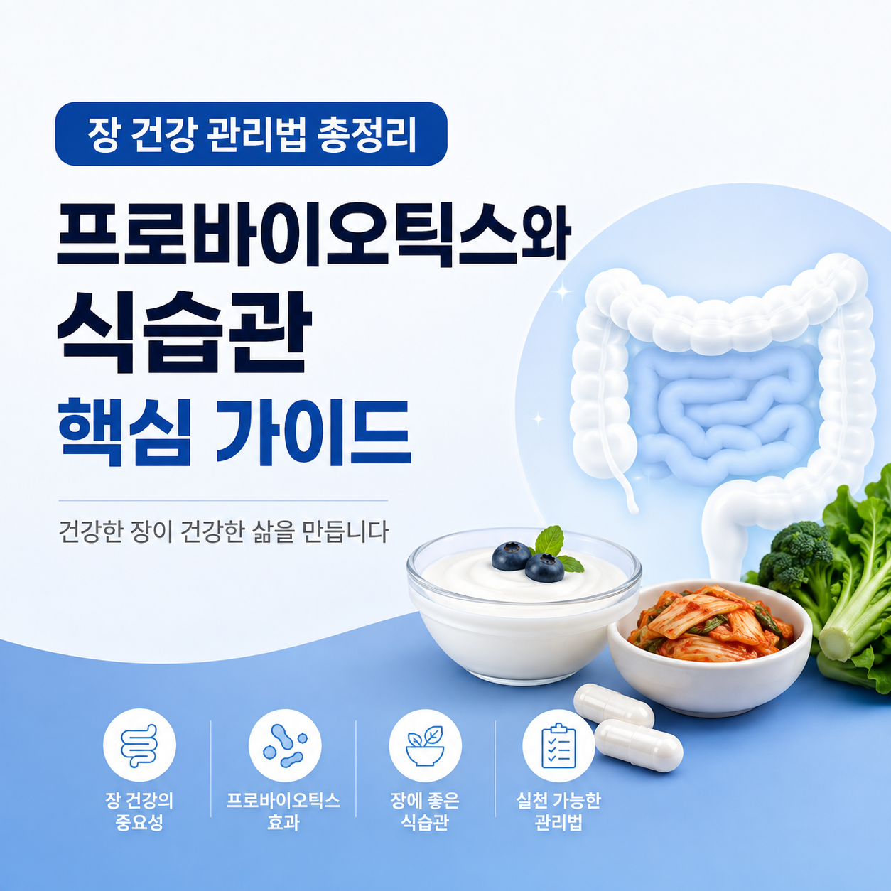 장 건강 관리법 총정리, 프로바이오틱스와 식습관 핵심 가이드