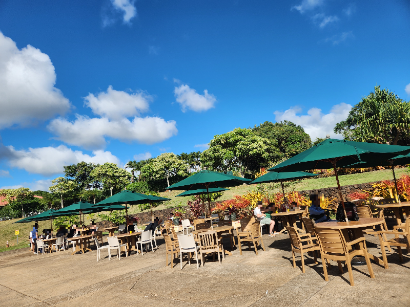 하와이 돌 플랜테이션