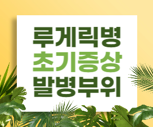 루게릭병의 초기증상과 발병부위