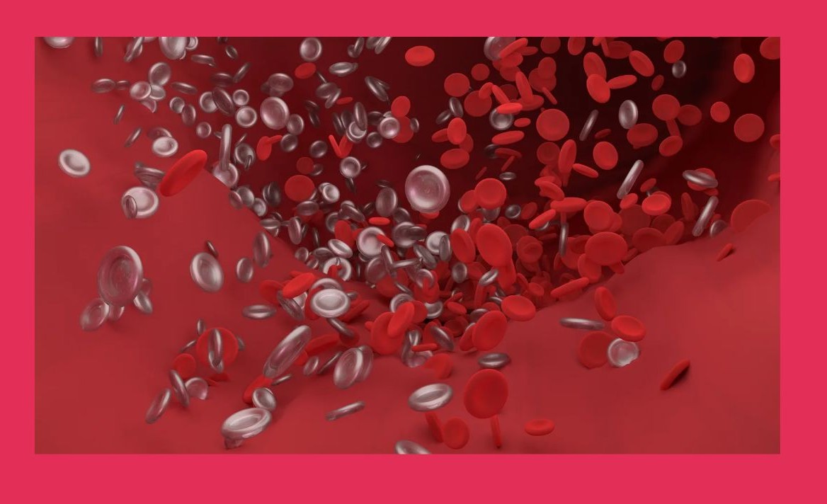 혈관 속 혈액 이미지