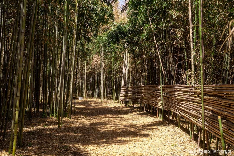 익산 가볼만한곳 베스트10