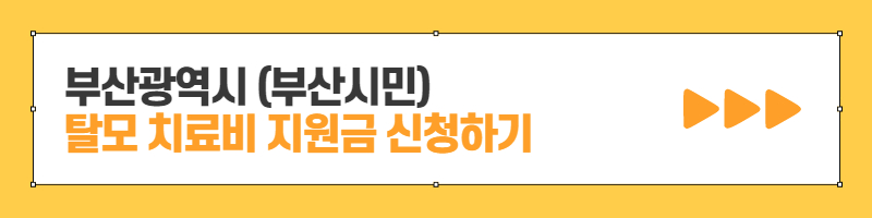 부산 탈모 치료비 지원