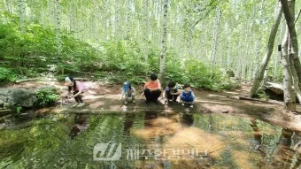 걷기좋은 명품 숲길 30선 숨겨진 코스_23