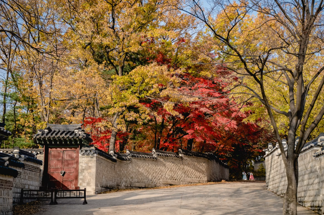 대구 가창 남평문씨본리세거지 & 마비정 벽화마을, 황금빛 은행나무와 가을 고택 탐방