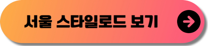 서울 페스타 2024