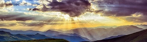 반려동물 자격증 창업 취업